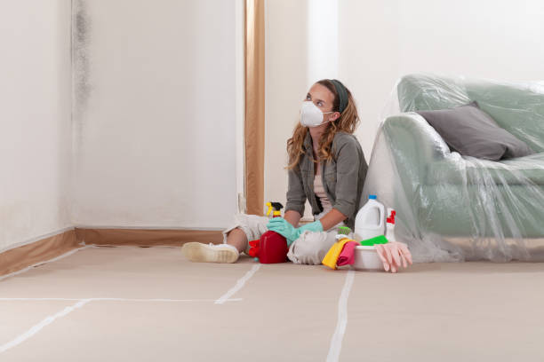 Reliable Commercial Mold Remediation contractor in Radcliff, KY by WQB Mold Removal
